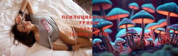 альфа пвп Горнозаводск