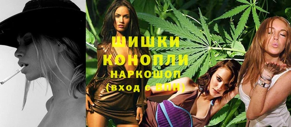 ГАЛЛЮЦИНОГЕННЫЕ ГРИБЫ Горняк