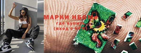 скорость Каменка