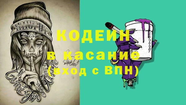 ГАЛЛЮЦИНОГЕННЫЕ ГРИБЫ Горняк
