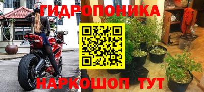 ПСИЛОЦИБИНОВЫЕ ГРИБЫ Будённовск