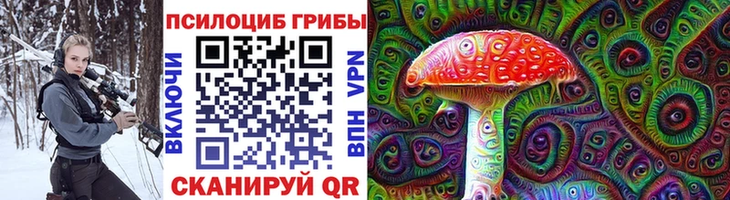 Псилоцибиновые грибы Psilocybe  Новотроицк 