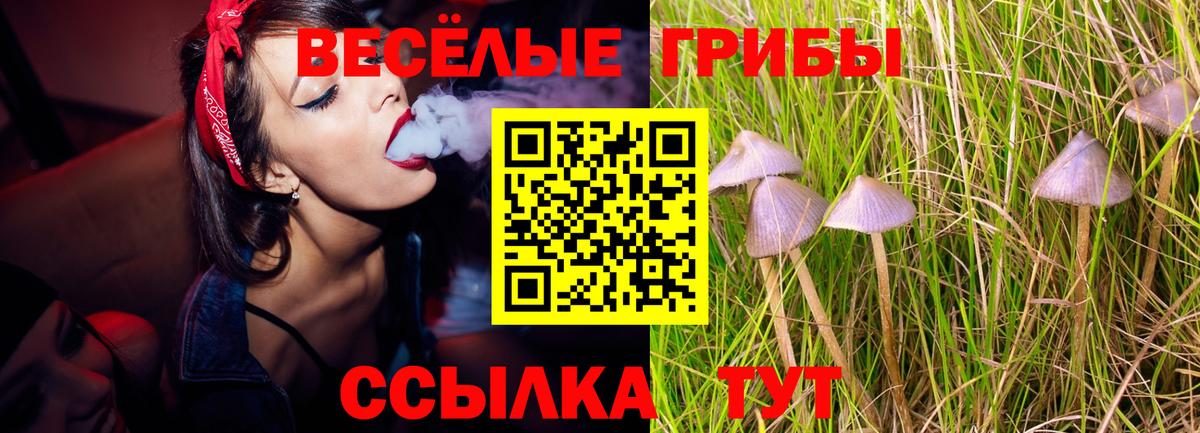Новотроицк  Галлюциногенные грибы Psilocybe  Вход с VPN 