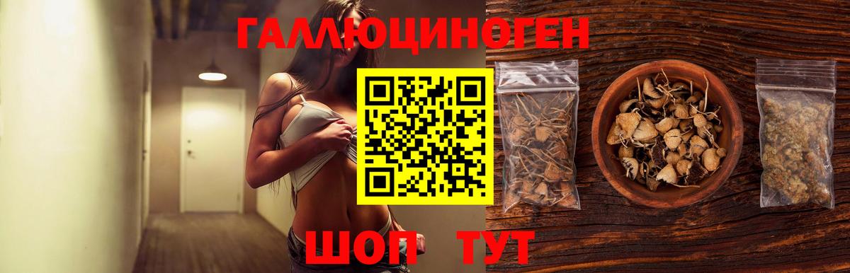 Галлюциногенные грибы MAGIC MUSHROOMS Новотроицк