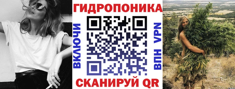 Шишки марихуана сатива  блэк спрут как зайти  Новотроицк 